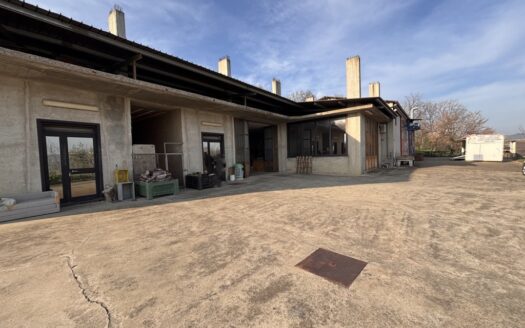 Locale artigianale in affitto