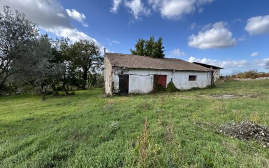 Fabbricato da ripristinare con capannone e ampio terreno