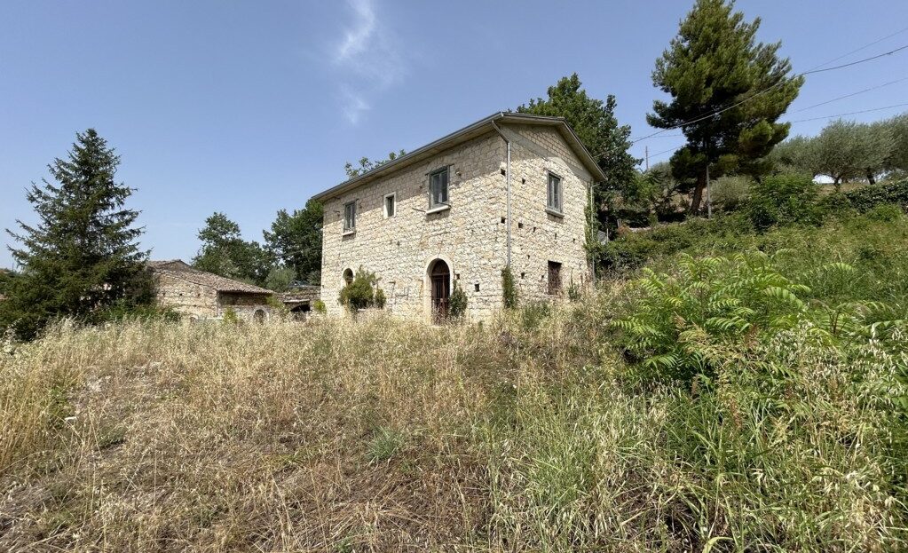 video image