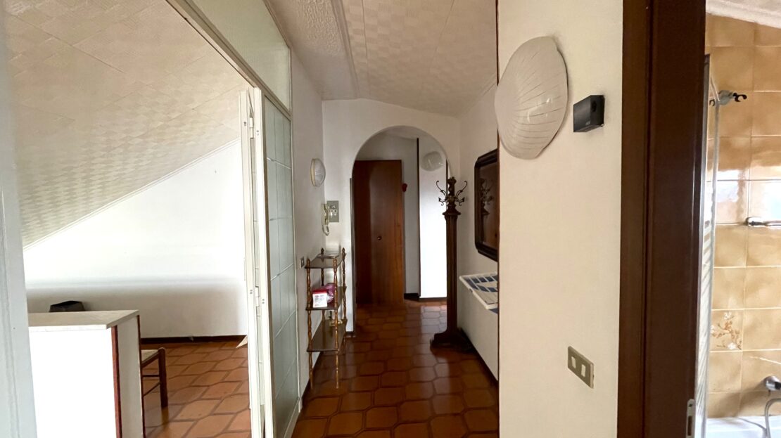video image