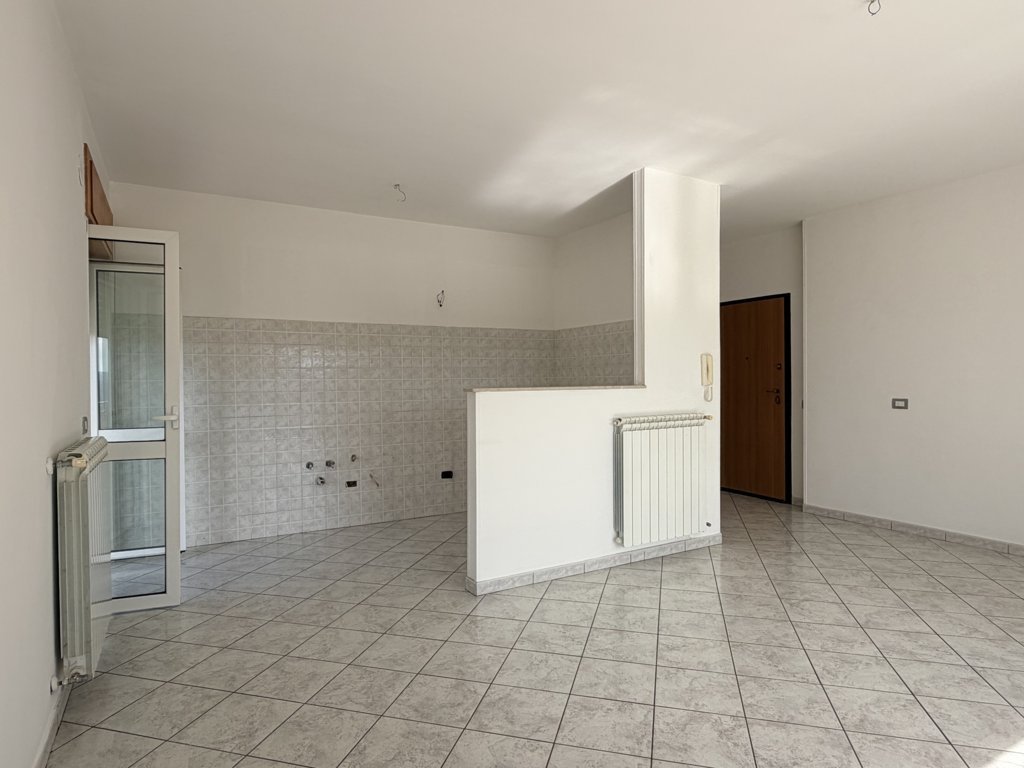 video image