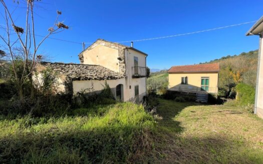Proprietà con uliveto