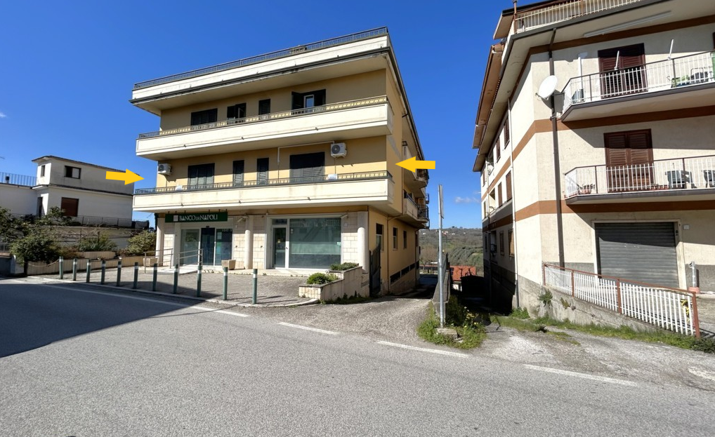video image