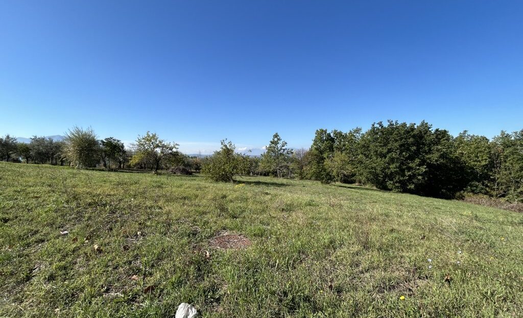 video image