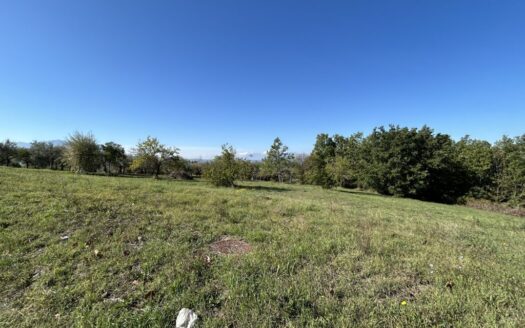 Ampio terreno agricolo in posizione fronte-strada